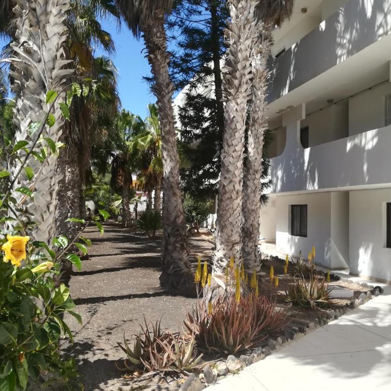 La Casita de Emma - Apartamento - 14