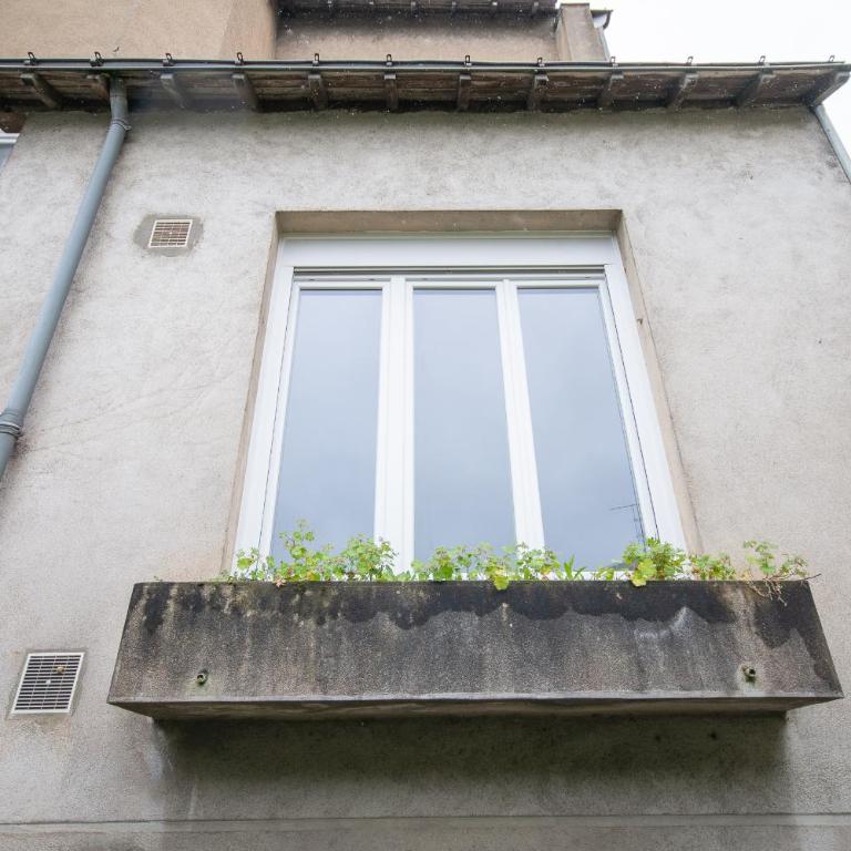 La Douce Angevine - Appartement - 29