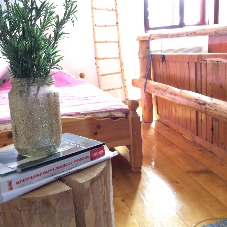 Apartmani Božana Vojinović - Studio - 11