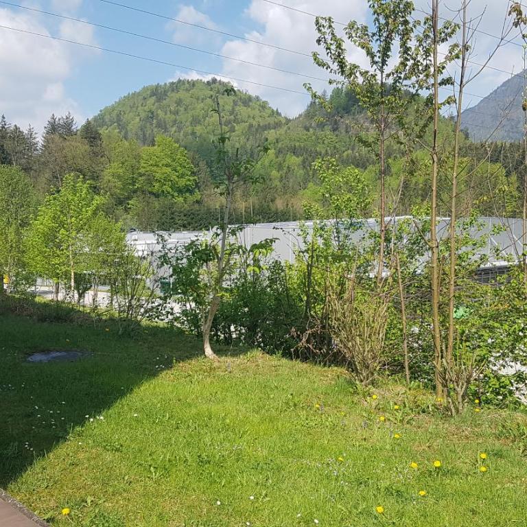 Ferienwohnungen Sammer - Apartment mit Blick auf die Berge - 10
