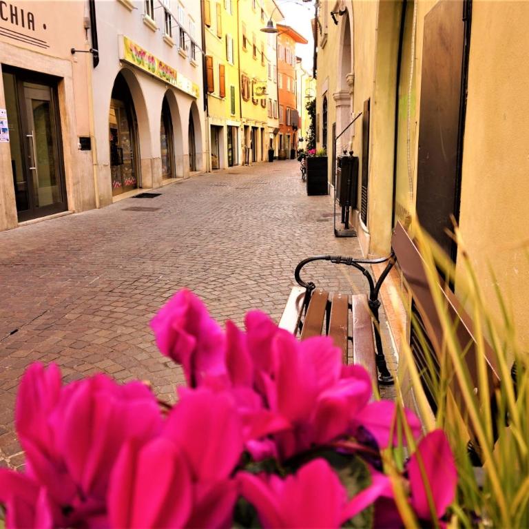 Residenza Castello - Holiday Home Garda Trentino - Apartment - 7