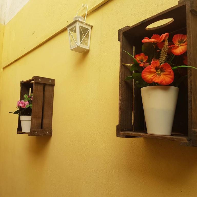 Casa Melania - Appartamento - Piano Terra - 45
