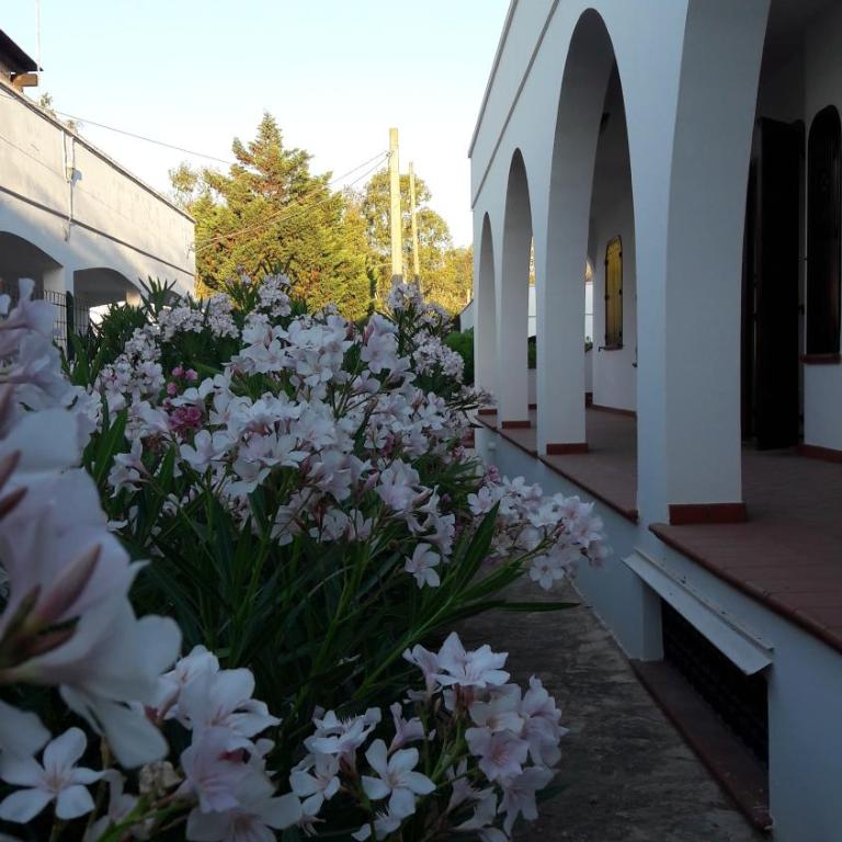 Il Lentisco - Appartamento - 1