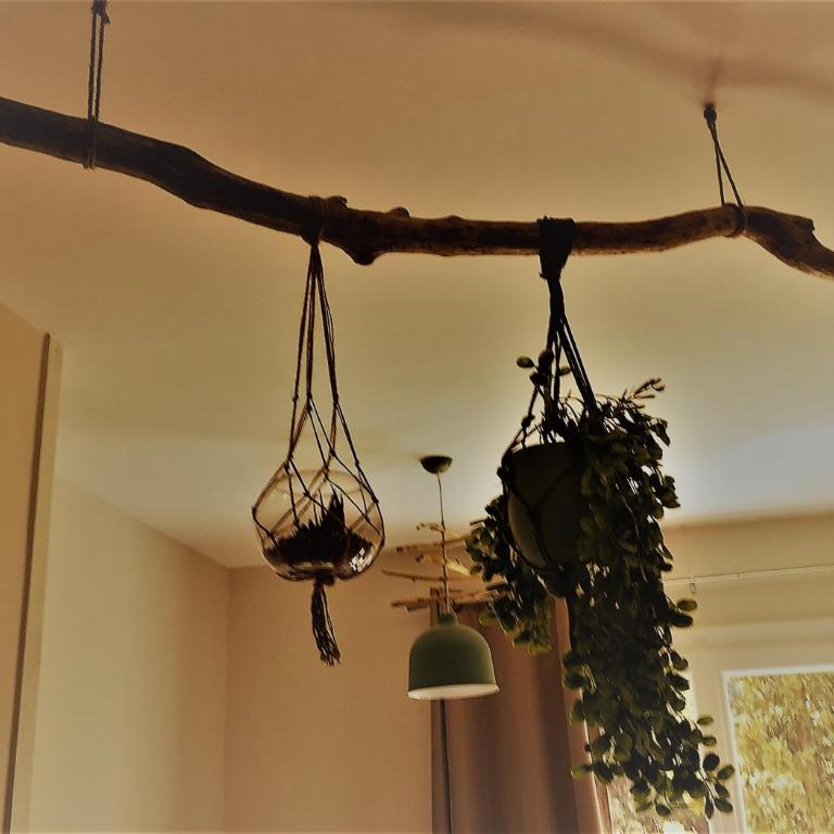 MON FARE - Studio avec Vue sur Jardin - 4