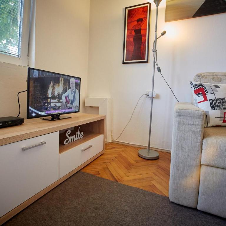 Central Tuzla apt - free parking - Apartman sa 2 Spavaće Sobe - 11
