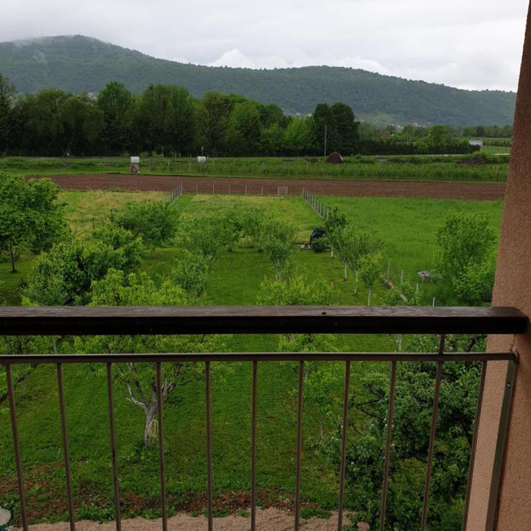 Apartments Karabegovic - Three-Bedroom Apartment - 26