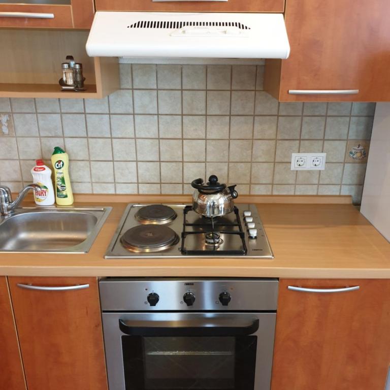 Apartments Karabegovic - Two-Bedroom Apartment - 19
