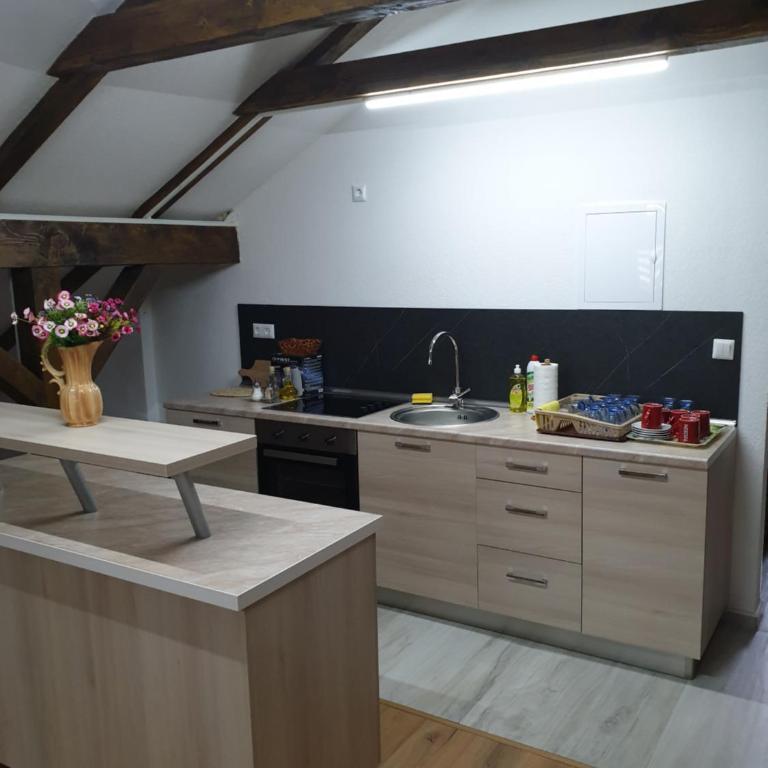 Apartments Karabegovic - Loft - 22