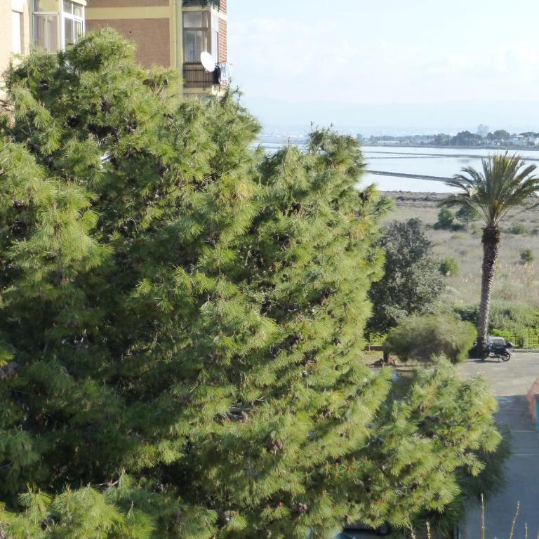 Chelu & Luna - Three-Bedroom Apartment - 62