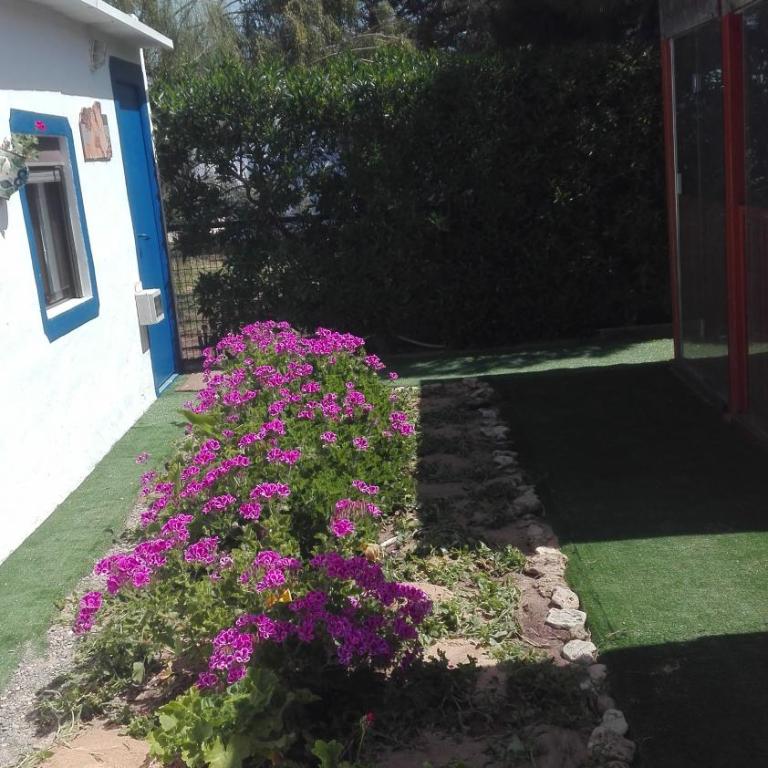 En Finca Las Dunas dos Chalets con jacuzzis en primera linea de playa , uno de 4 dormitorios y otro de 2 dormitorios, Llama al Seiscientos veintisiete Cuatrocientos diecisiete Trescientos noventa y ocho - Bungalow frente a la playa - 32