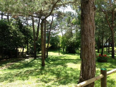 Palme Residence - Appartamento - 4