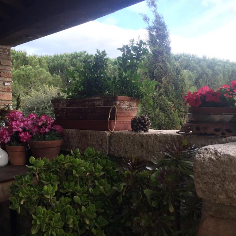 La Vittoria 10 – La Soglia della Val d’Orcia - Junior Suite Familiare - 7
