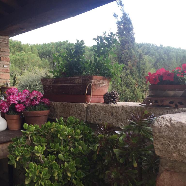 La Vittoria 10 – La Soglia della Val d’Orcia - Junior Suite Familiare - 16