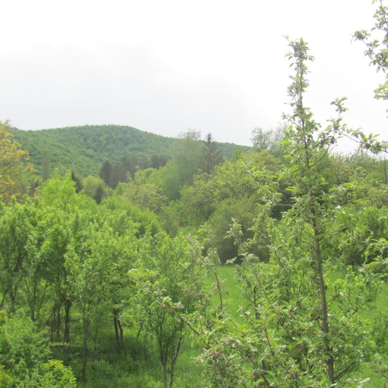 Studio Sanja - Studio Apartman - 23