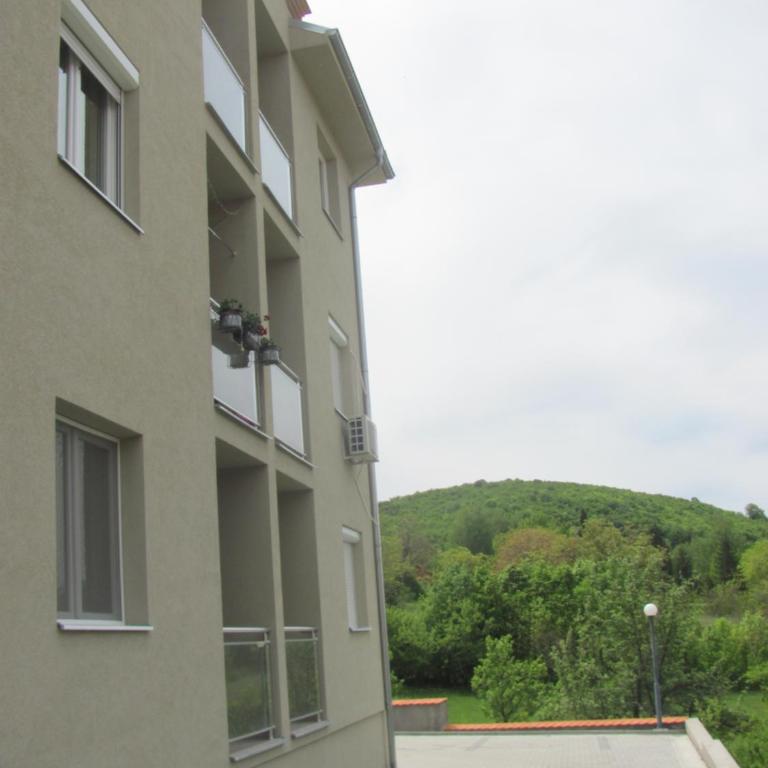Studio Sanja - Studio Apartman - 20
