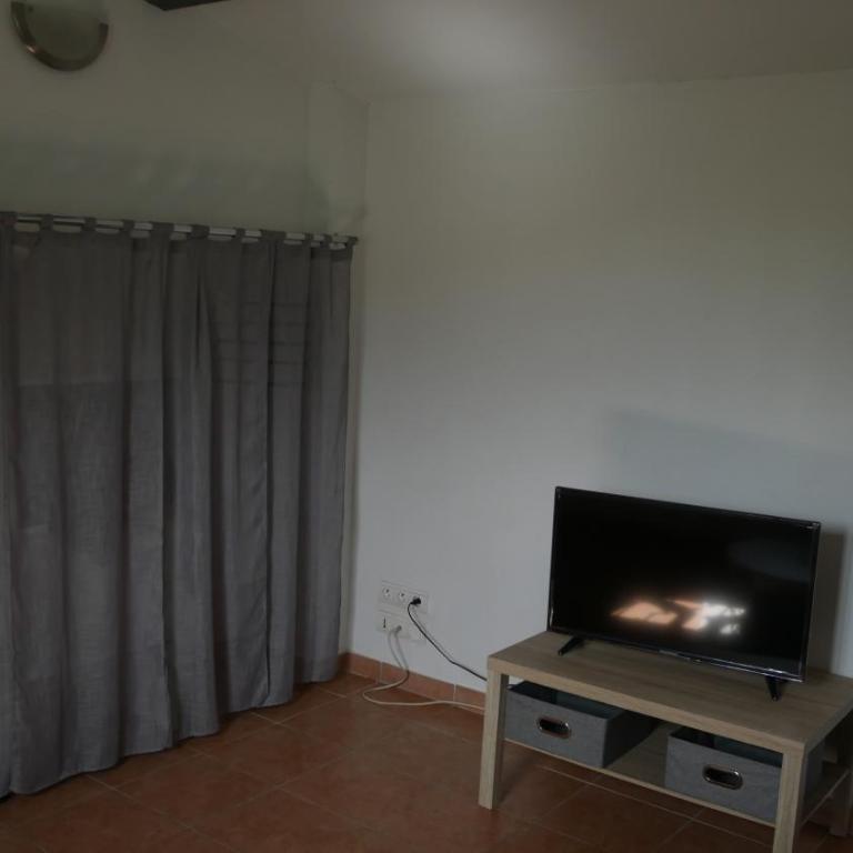 Grand studio - Appartement - 14