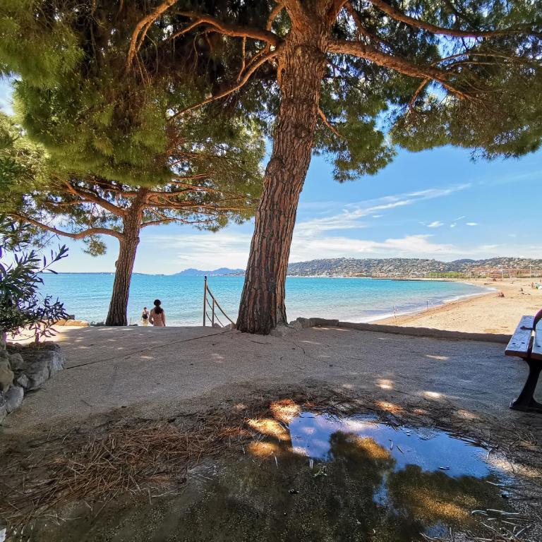 Sea Side Oceanides - Apartamento Estudio con vistas al mar - 7