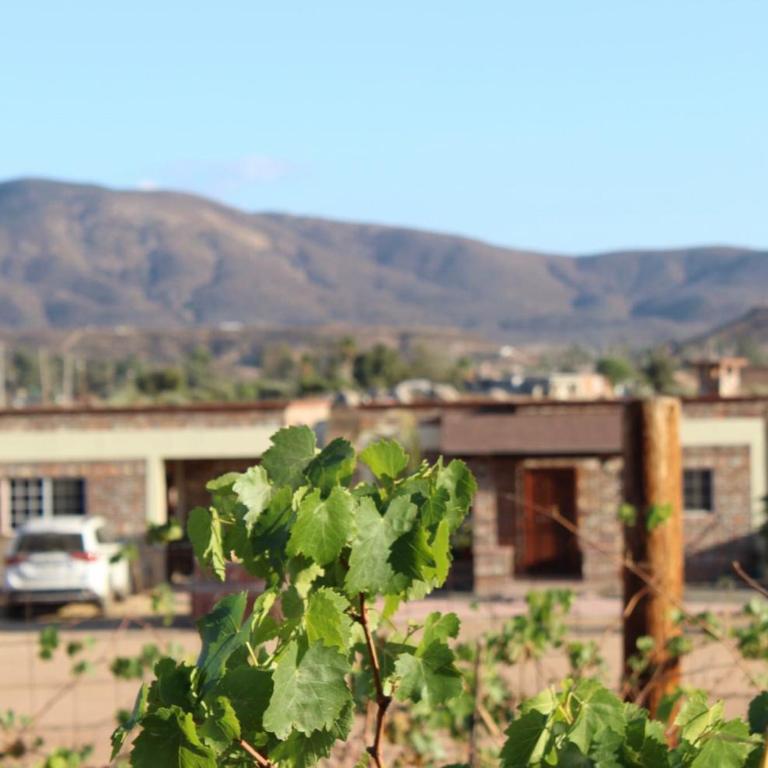 Finca Chavez - Villa de 2 dormitorios - 22
