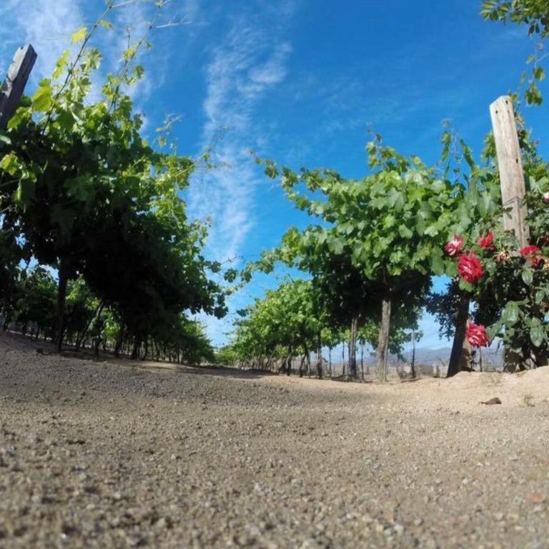 Finca Chavez - Villa de 2 dormitorios - 33