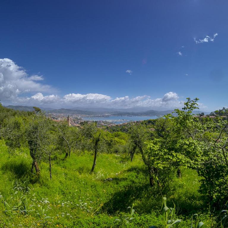 Gli ulivi sul Golfo e le 5 terre - One-Bedroom Apartment - 25