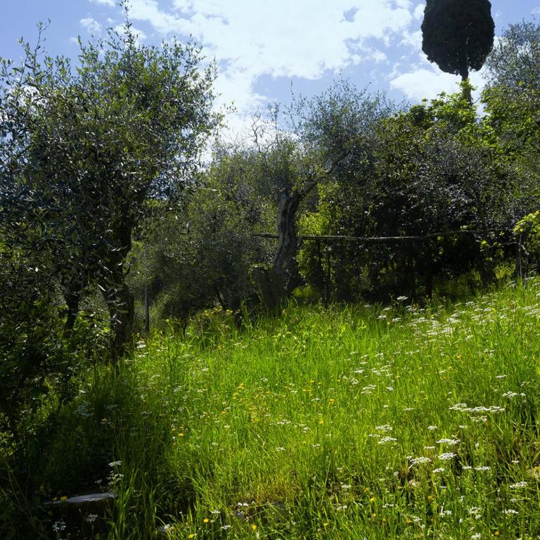Gli ulivi sul Golfo e le 5 terre - One-Bedroom Apartment - 31