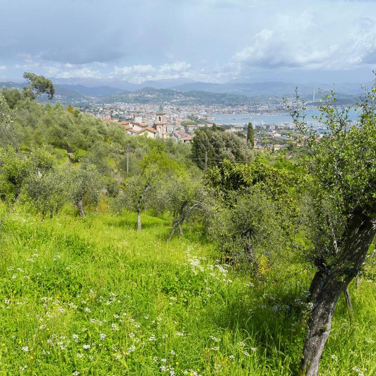 Gli ulivi sul Golfo e le 5 terre - One-Bedroom Apartment - 32