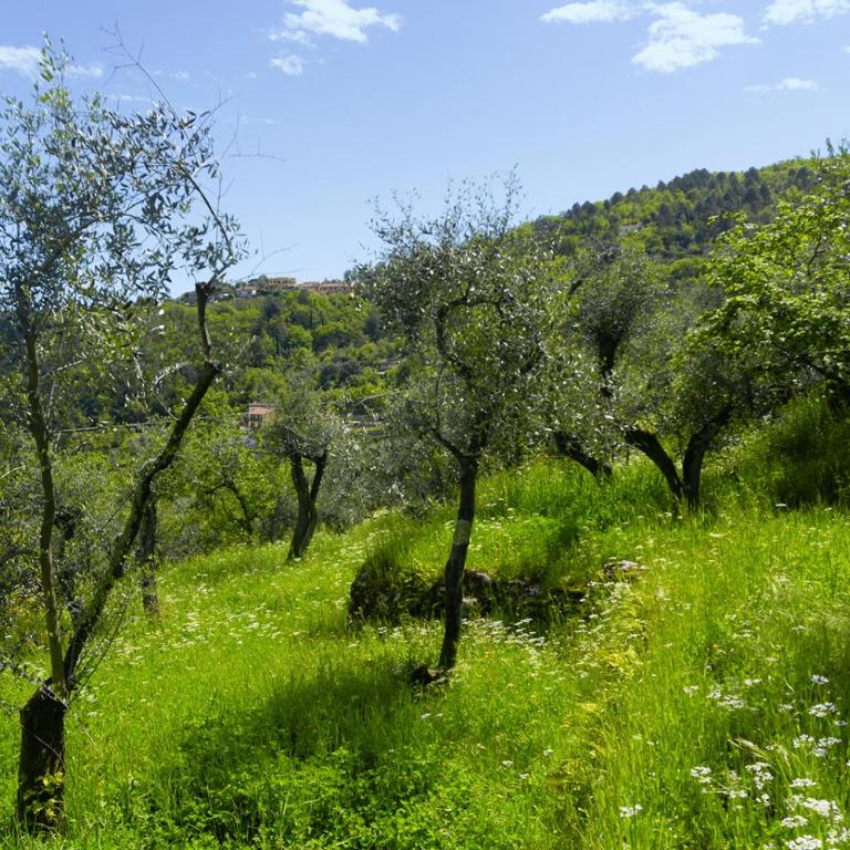 Gli ulivi sul Golfo e le 5 terre - One-Bedroom Apartment - 34