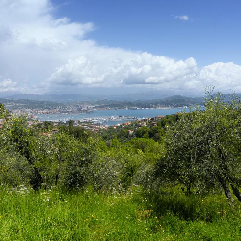Gli ulivi sul Golfo e le 5 terre - One-Bedroom Apartment - 35