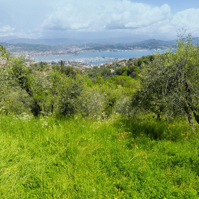 Gli ulivi sul Golfo e le 5 terre - One-Bedroom Apartment - 36