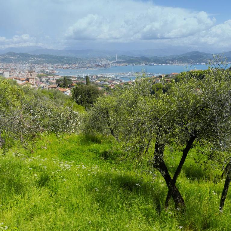 Gli ulivi sul Golfo e le 5 terre - One-Bedroom Apartment - 37