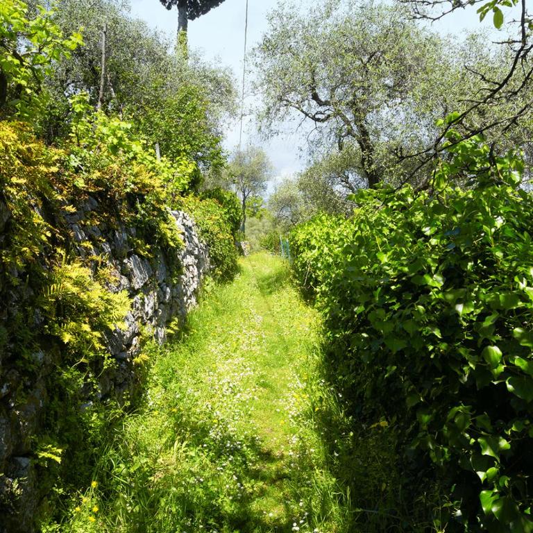 Gli ulivi sul Golfo e le 5 terre - One-Bedroom Apartment - 40