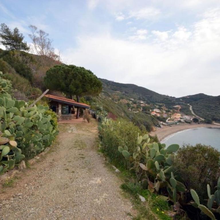 Villa Erste by Agenzia SolturElba Capoliveri - Villa con 3 Camere da Letto - 14