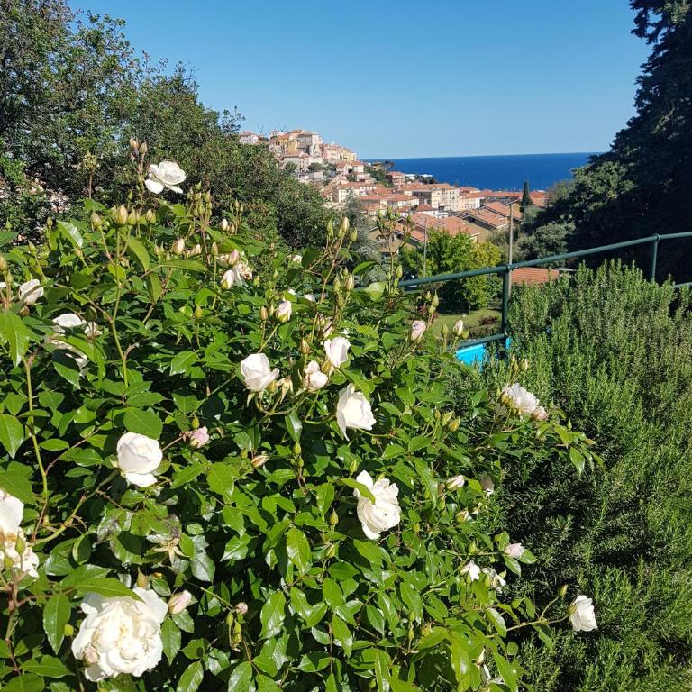 Villa Caterina - Casa con 1 Camera da Letto - 5