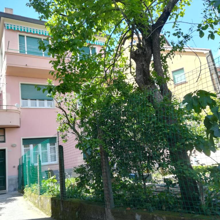 CASA DELLE ARANCE - Appartamento con 2 Camere da Letto - 1