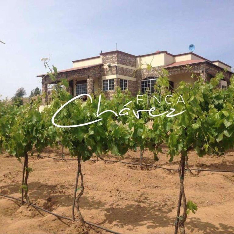 Finca Chavez - Villa de 2 dormitorios - 20
