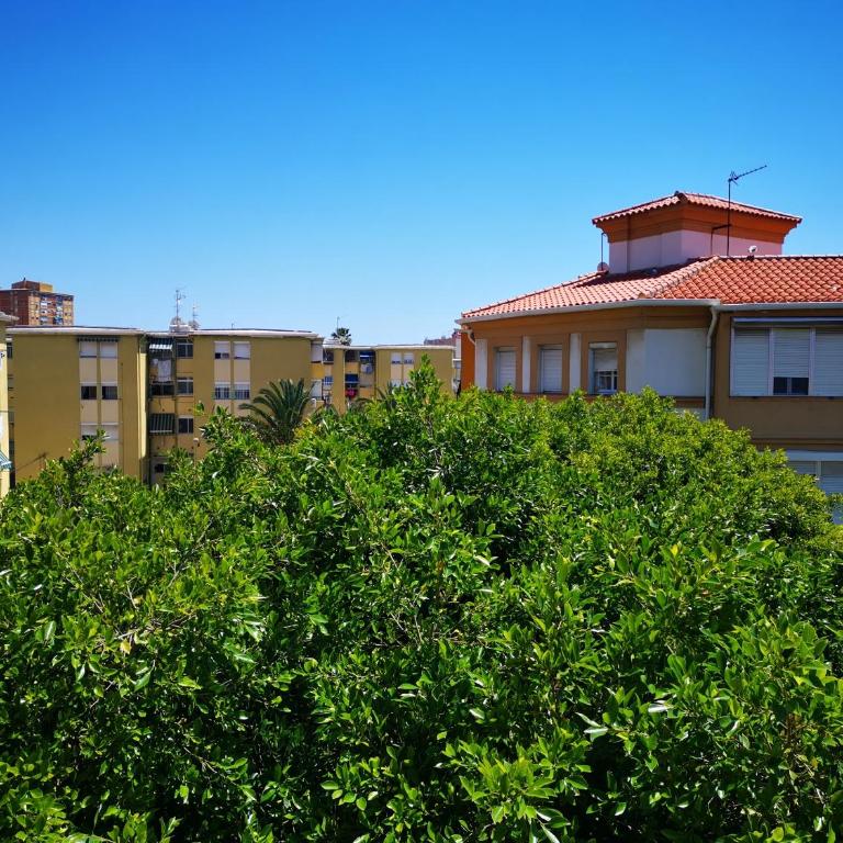 SunnySpainHolidays Apartments - Apartment - 18