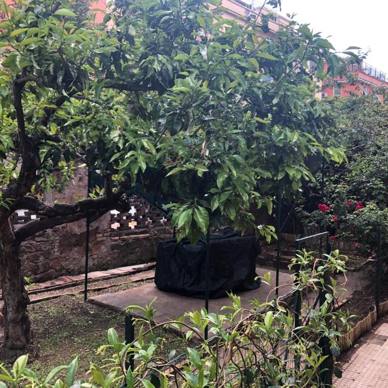 Villa Ella - Appartamento con 2 Camere da Letto - 3