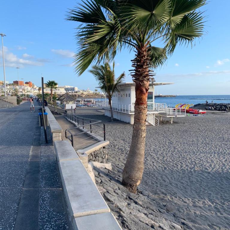 Orlando Apartment Tenerife - Apartamento de 1 dormitorio - 30