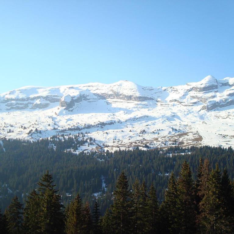 Flaine prime ski in, ski out Apartment - Appartement Deluxe - 3
