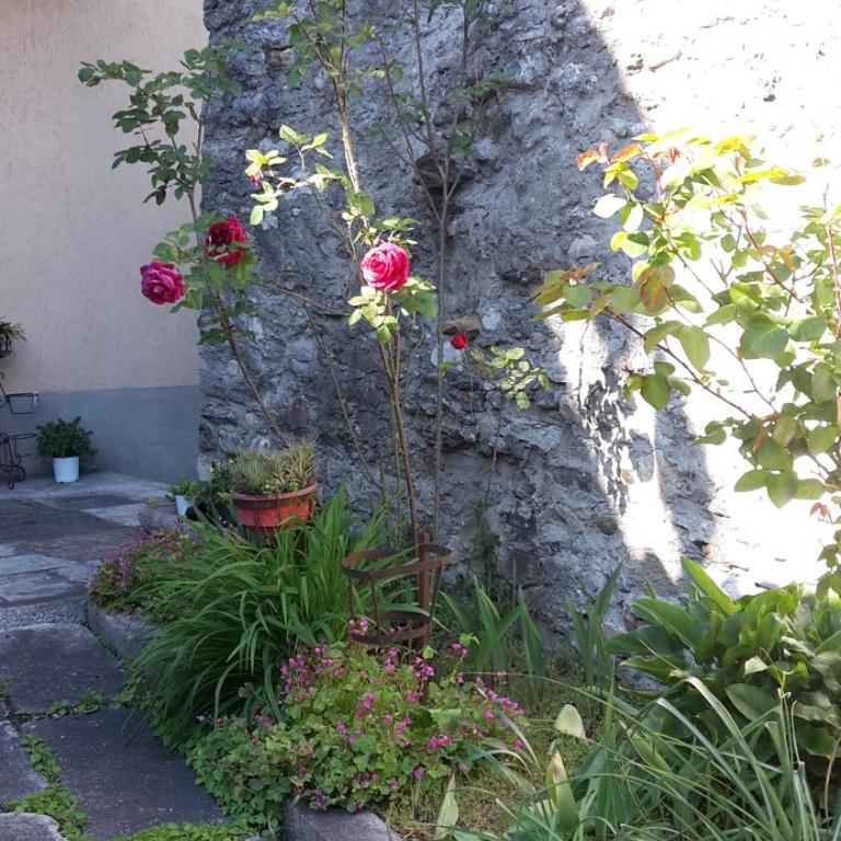 Appartamenti Raineri - Appartamento con 2 Camere da Letto e Balcone - 13