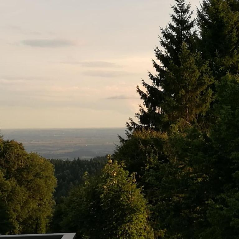 Top Appartment mit Weitblick und Late Check-Out inklusive aktivCARD - Appartamento con Balcone - 75