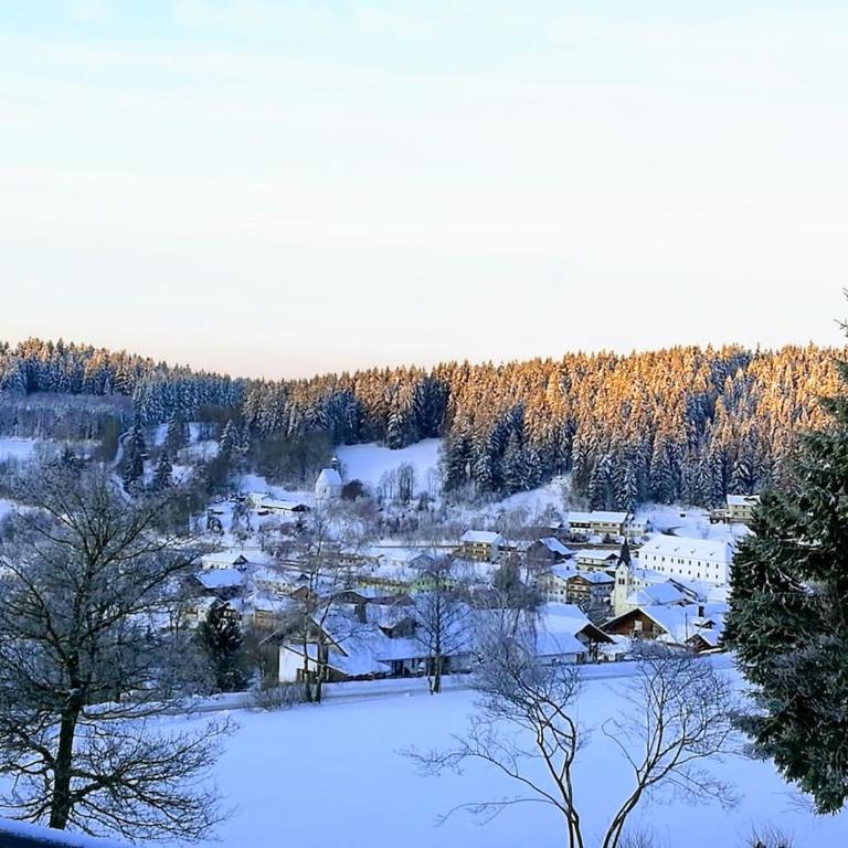 Top Appartment mit Weitblick und Late Check-Out inklusive aktivCARD - Appartamento con Balcone - 79