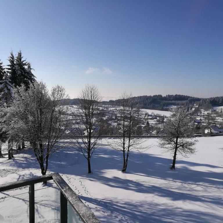 Top Appartment mit Weitblick und Late Check-Out inklusive aktivCARD - Appartamento con Balcone - 78