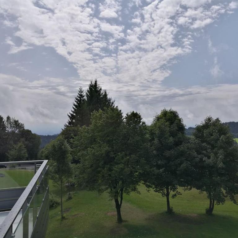 Top Appartment mit Weitblick und Late Check-Out inklusive aktivCARD - Appartamento con Balcone - 77