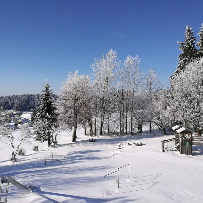 Top Appartment mit Weitblick und Late Check-Out inklusive aktivCARD - Appartamento con Balcone - 82