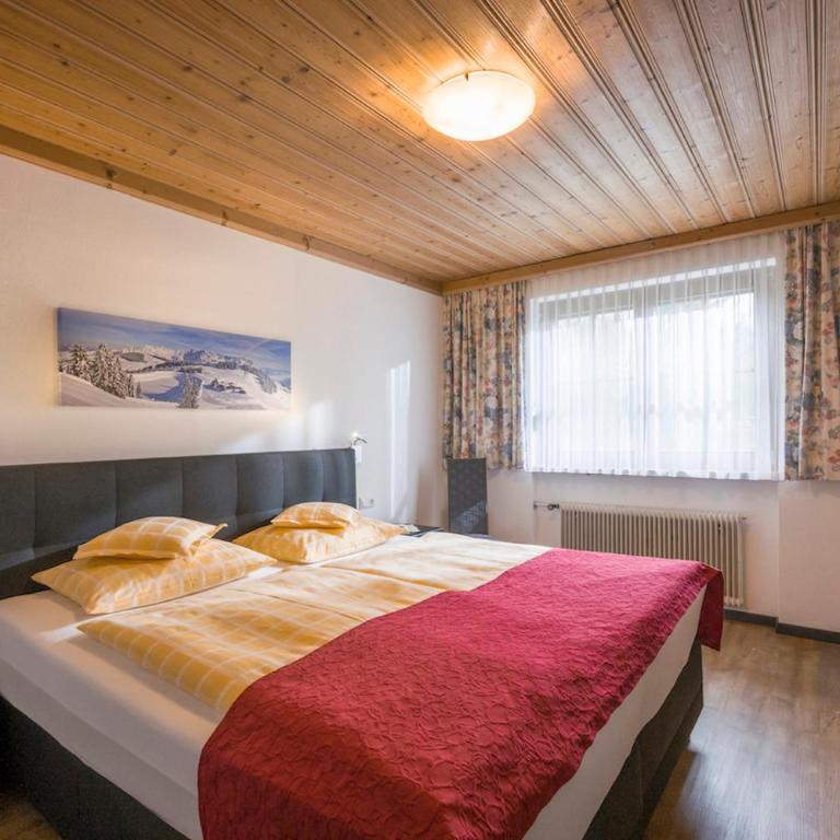Appartementhaus Mühlberger - Apartamento con vistas a las montañas - 1