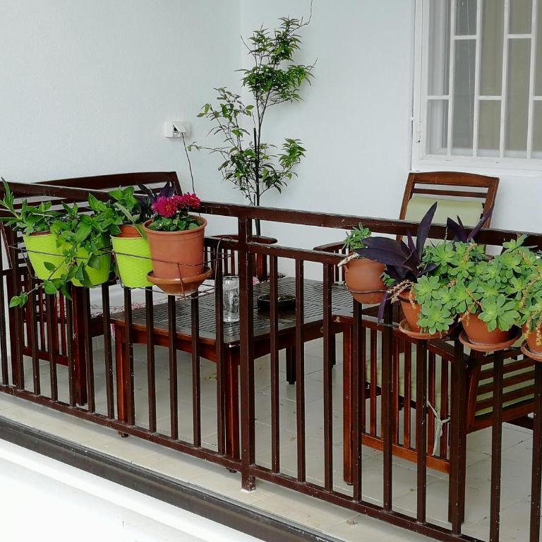 Villa Marko - Apartment with Sea View - 15
