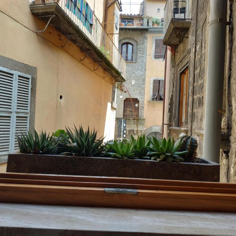 CASA ANNIO Holiday Viterbo - Appartamento Familiare con 1 Camera da Letto - 27