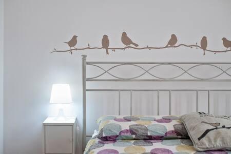 Nel cuore di Gallipoli.. a un passo dal mare! - Appartamento con 2 Camere da Letto - 14