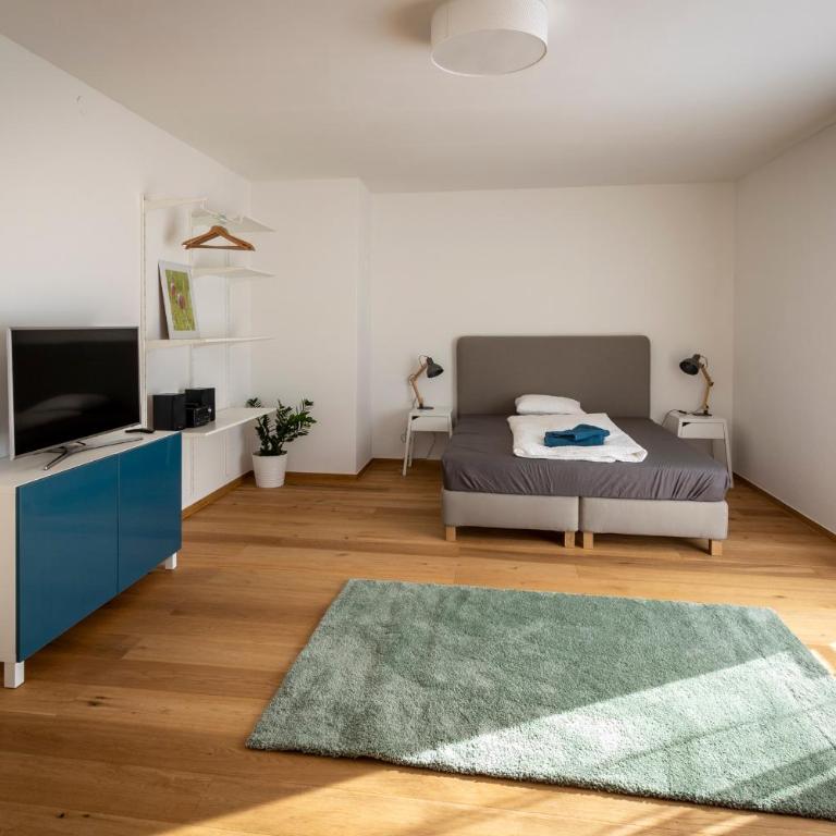Flataid Apartmenthaus Brauhausstrasse - Studio-Apartment - 7